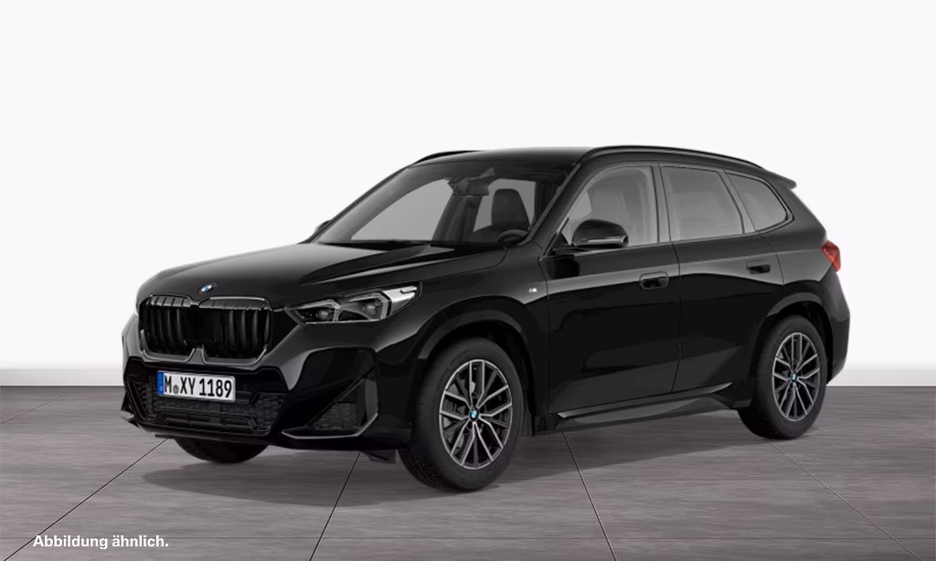 BMW X1 sDrive18i M Sport AHK Kamera Driv.Assist LED