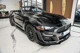 Ford Mustang GT 5,0 Cabrio GT 500 SHELBY PREMIUM VOLL - Ford Mustang: Roadster, Shelby