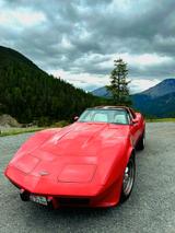 Corvette C3 - Corvette C3 Gebrauchtwagen