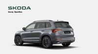 Skoda Karoq - Vorschau Bild 10