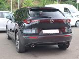 Mazda CX-30 2.0 M-Hybrid Selection 2WD LED Navi ACC - Mazda CX-30 in Dresden
