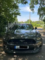 Ford Mustang 5.0 Ti-VCT V8 GT  - Ford Mustang Gebrauchtwagen in Leipzig