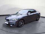 BMW 220i Steptronic Cabrio M Sport Sport Aut. PDC - BMW 2er Reihe: Cabrio