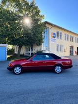 Mercedes-Benz 300 CE 24V Cabriolet deutsch 2.Hand erstkl. - Mercedes-Benz 300: Ce 24
