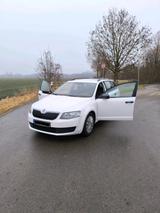 Skoda Octavia Active - Skoda Octavia Active mit Benzin-Antrieb