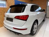 Audi SQ5 3.0 TDI plus quattro*LEDER*BI-XENON* - gebrauchte Audi SQ5 aus dem Jahr 2017