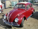 Volkswagen Käfer Export Faltdach 3. Hand restauriert  - Volkswagen Käfer: Faltdach