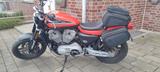 Harley-Davidson XR1200 - Angebote