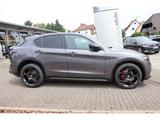 Alfa Romeo Stelvio VELOCE 2.0 TURBO 16V 280 PS AT8 Q4 SCHIE - Alfa Romeo Stelvio Tageszulassungen