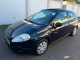 Fiat Punto 1.2 8V Tüv Neu Panorama - Fiat Punto mit Schiebedach
