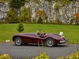 Jaguar XK 140 SE OTS C-Type Roadster | restauriert - Jaguar: X 140