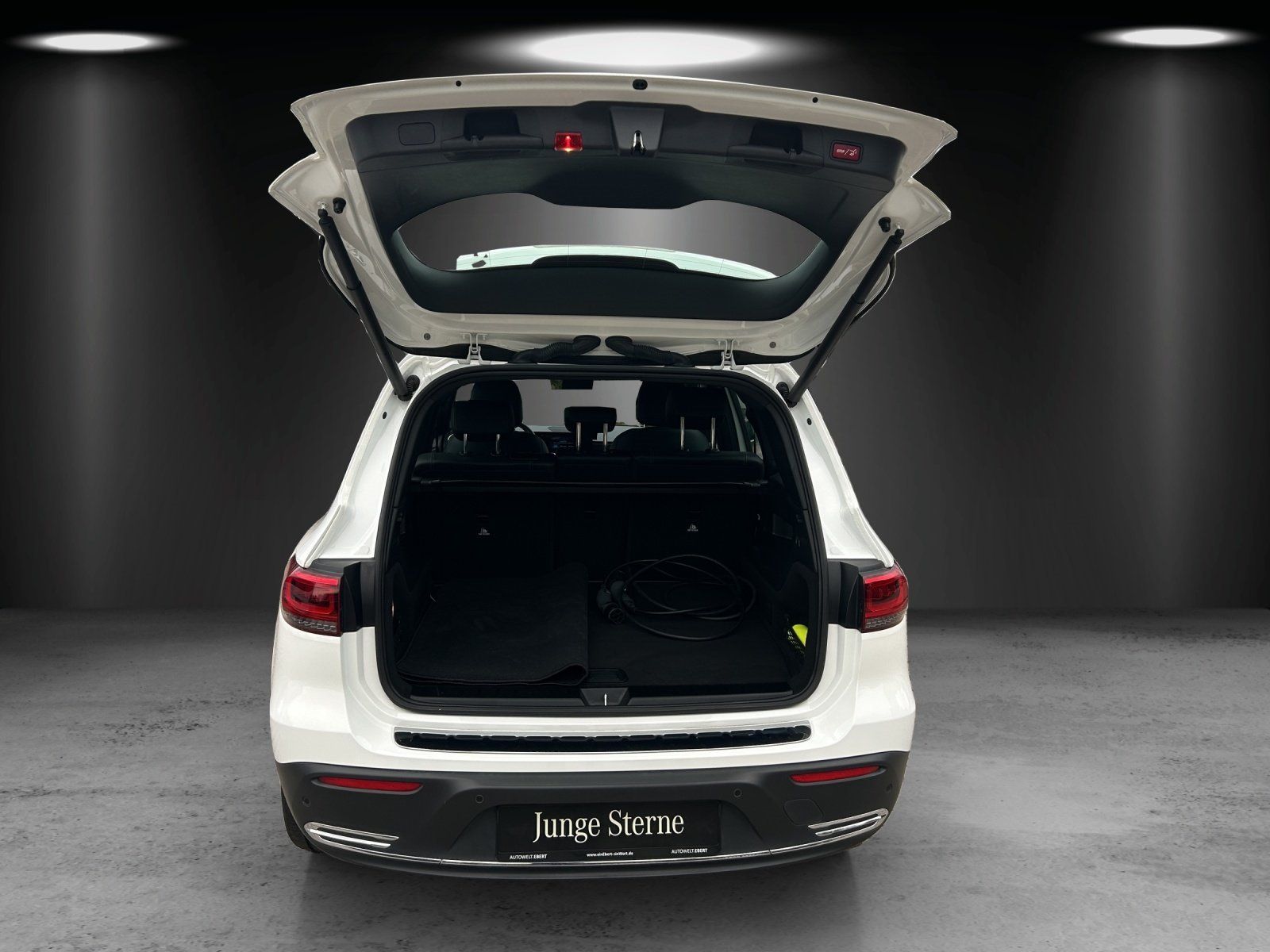 Fahrzeugabbildung Mercedes-Benz EQB 250 Progressive Advan Pano LED Kamera elHeck