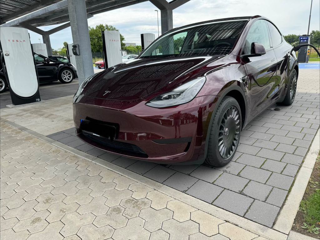 Image of Tesla Model Y