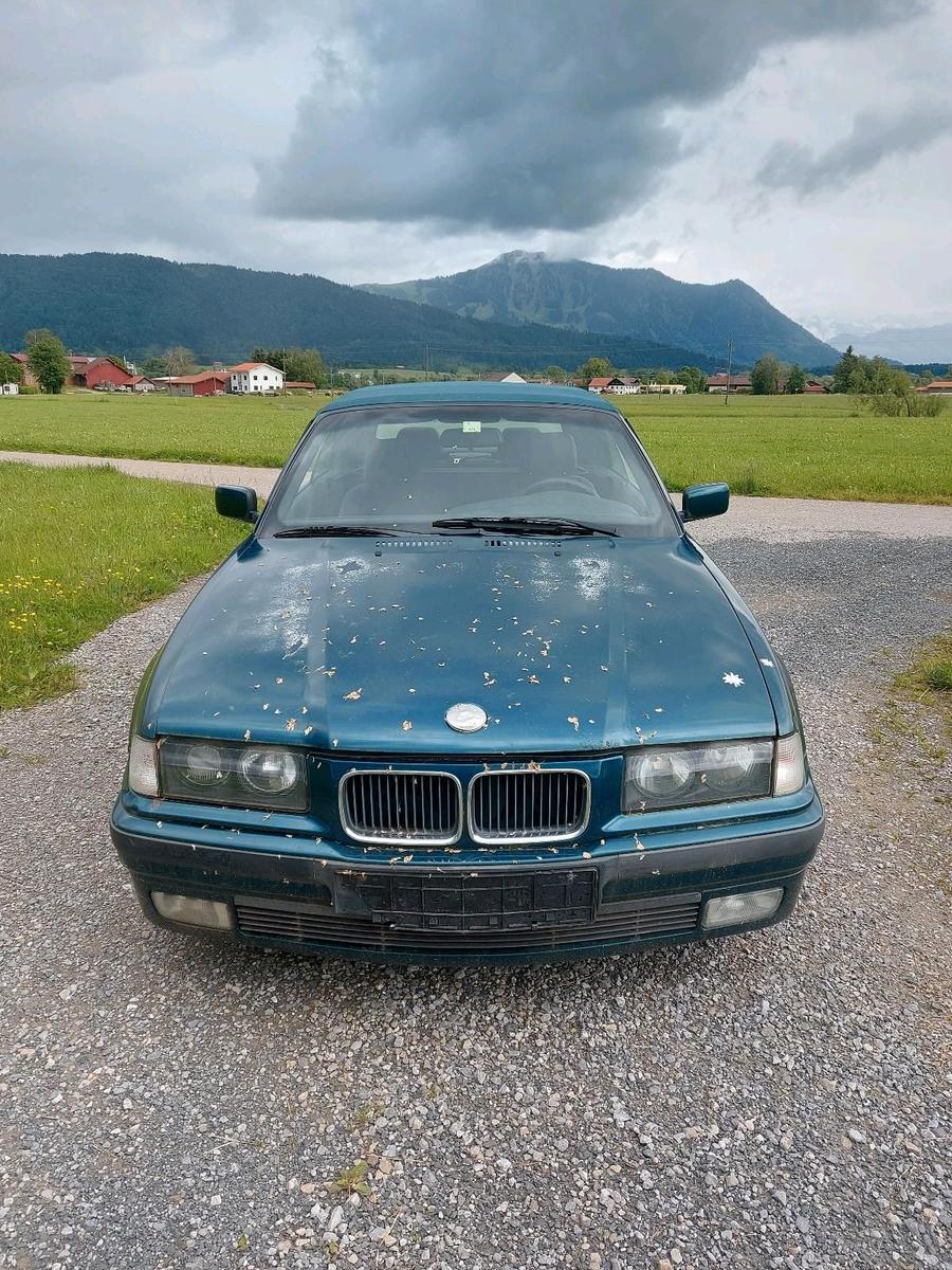 BMW 318