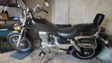 Suzuki Savage - Offers