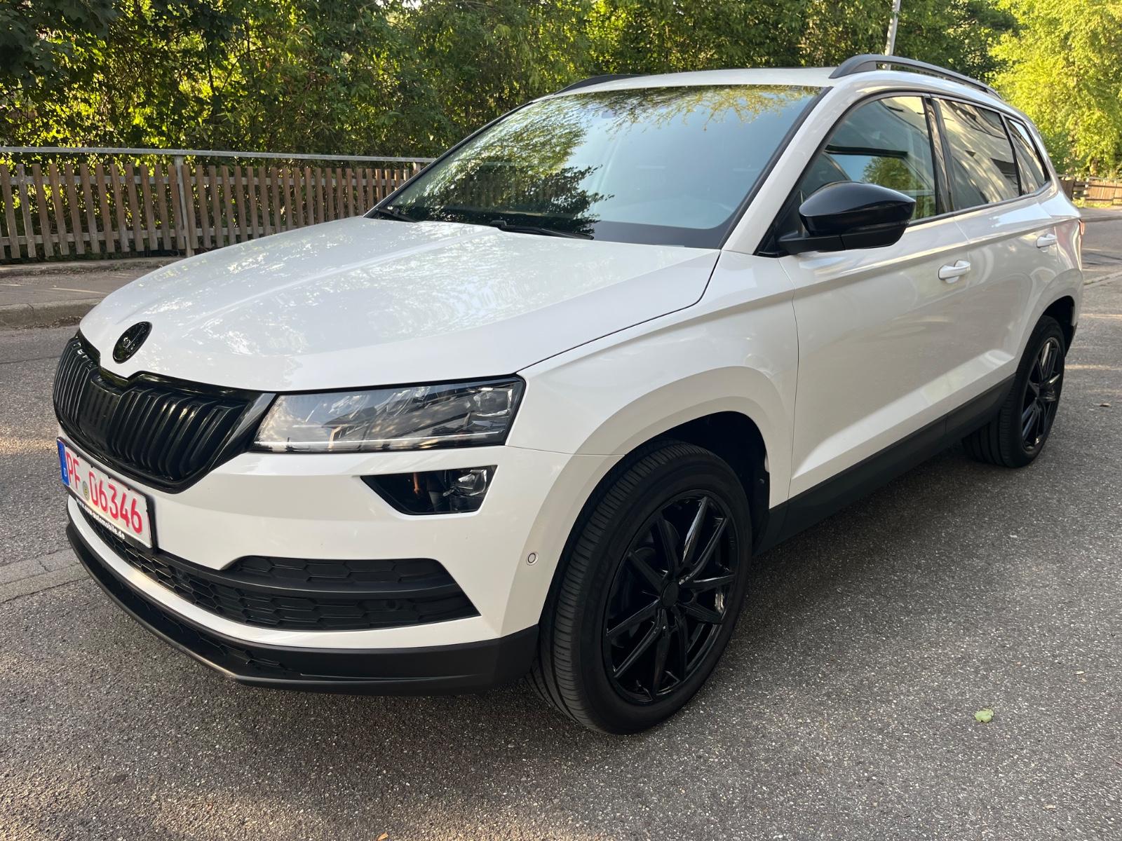 Skoda Karoq Style 4x4 / Pano / Standheizung