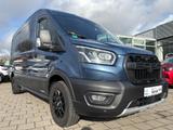 Ford Transit Kasten 350 L3 Trail Allrad - Ford Transit: Trail