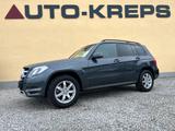 Mercedes-Benz GLK 220 GLK GLK 220 CDI BlueEfficiency 4Matic - Mercedes-Benz GLK 220: Cdi Blueefficiency
