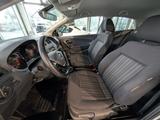 Volkswagen Polo 1.0 60PS 2-türig Trendline Cup Klima - Volkswagen Polo: Türig