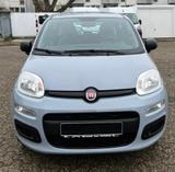 Fiat Panda Base 1.2 - gebrauchte Fiat Panda aus dem Jahr 2022