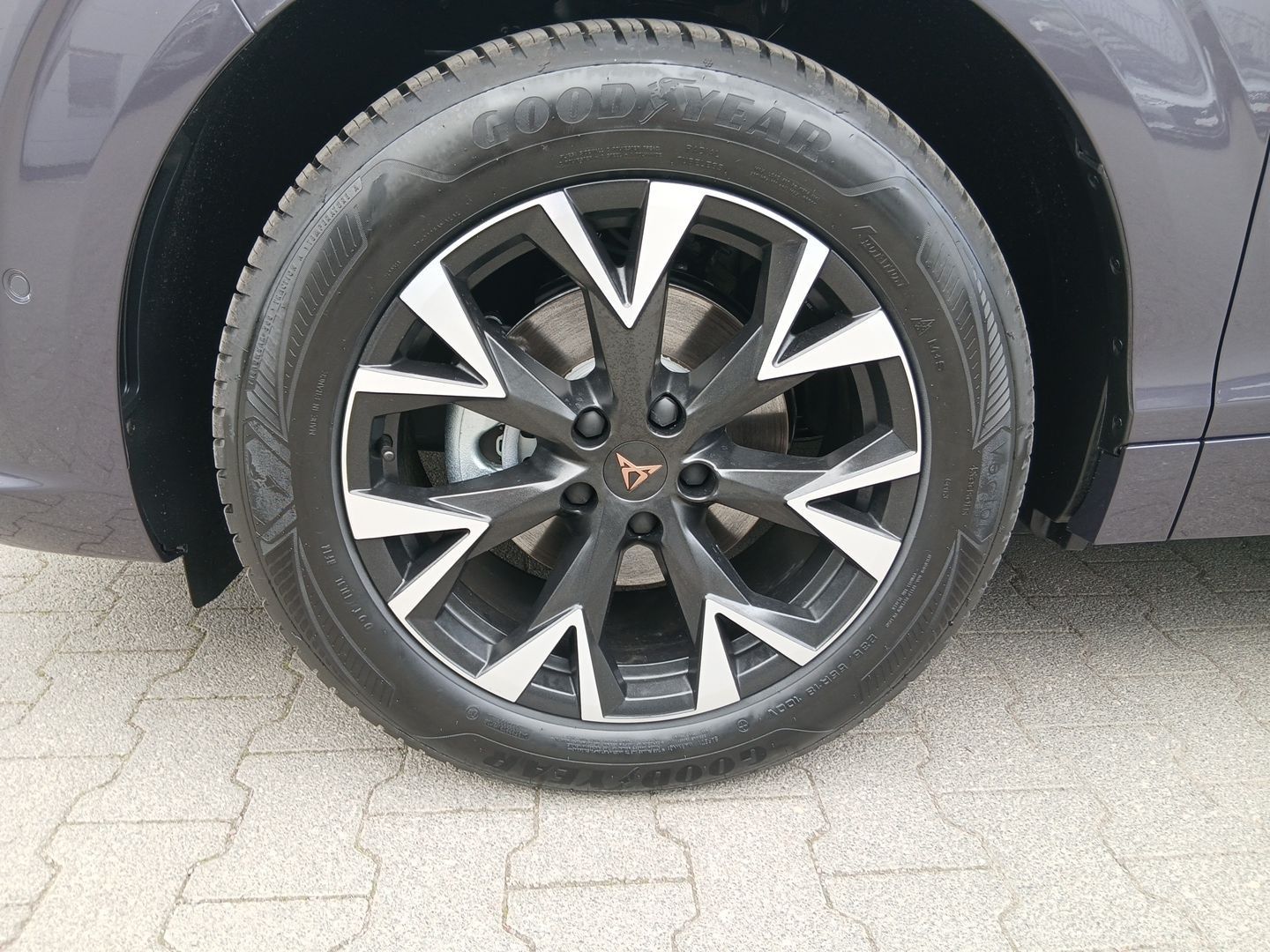 Cupra Terramar - Bild 7
