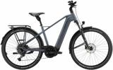 Pegasus Premio EVO SUV 10 M - Pegasus E-Bikes