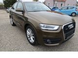 Audi Q3 2.0 TDI quattro Bi-Xenon Navi PDC S-Line 8x A - Audi Q3: Braun