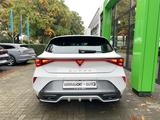 Cupra Leon 2.0 TDI DSG Navi Edge Intelligent-Drive SSL - gebrauchte Limousinen