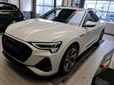 Audi E-TRON 55 Q 2x S LINE BLACK ACC/HuD/PANO/S-SITZE - weiße Audi e-tron