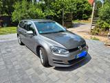 Volkswagen Golf 1.6 TDI DSG BMT Comfortline Variant Com...