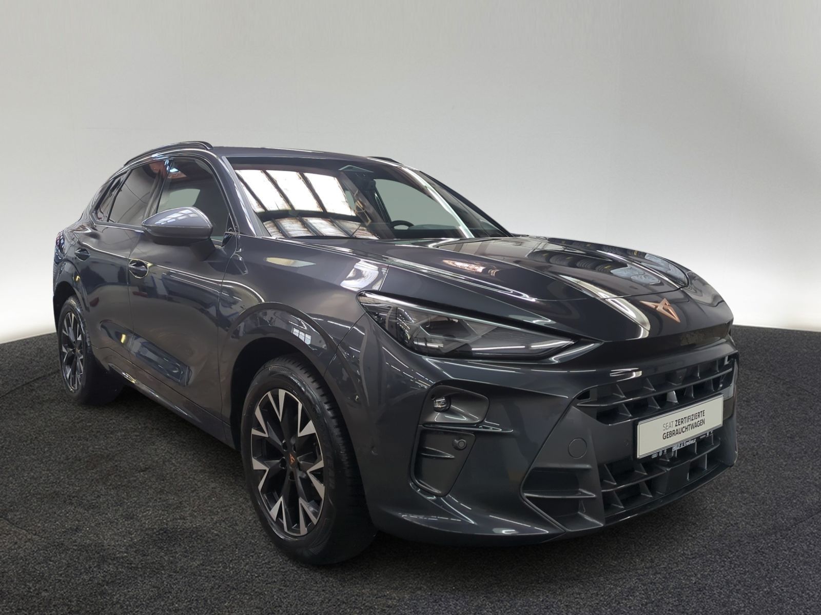 Cupra Terramar - Bild 5