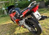 Honda CBR 600F  | 1. Hand | nur 24.551 km | TÜV Neu - HONDA 1998 CBR 600