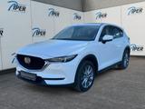 Mazda CX-5 SKYACTIV-D 184 AWD 5T 6AG AL-SPORTS LEDER-S - gebrauchte Mazda CX-5 aus dem Jahr 2019