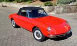 Alfa Romeo Spider