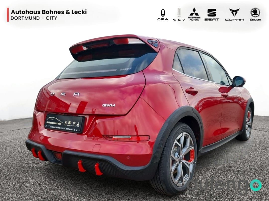 GWM Ora 03 - Bild 3