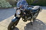 Suzuki Gladius SFV 650 A - Angebote