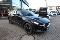 Mazda CX-30 - Vorschau Bild 7