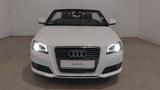 Audi A3 Cabriolet S line Sportpaket / plus - Audi A3: Cabrio, Line