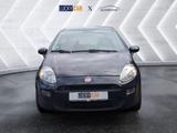 Fiat Punto 1.2 TÜV NEU//KLIMA//GARANTIE//TOP! 51 k... - Fiat Punto: Kleinwagen