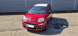 Fiat Panda 1.2 8V EASY EASY - Fiat New Panda aus 2016