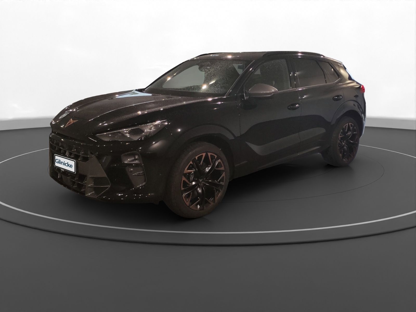 Cupra Terramar - Bild 2