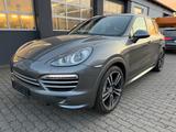 Porsche Cayenne Platinum Edition 2.Hand Pano VOLL - Porsche Cayenne: Platinum Edition