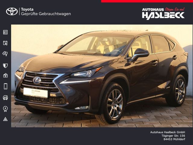 Lexus NX 300h Executive-Line