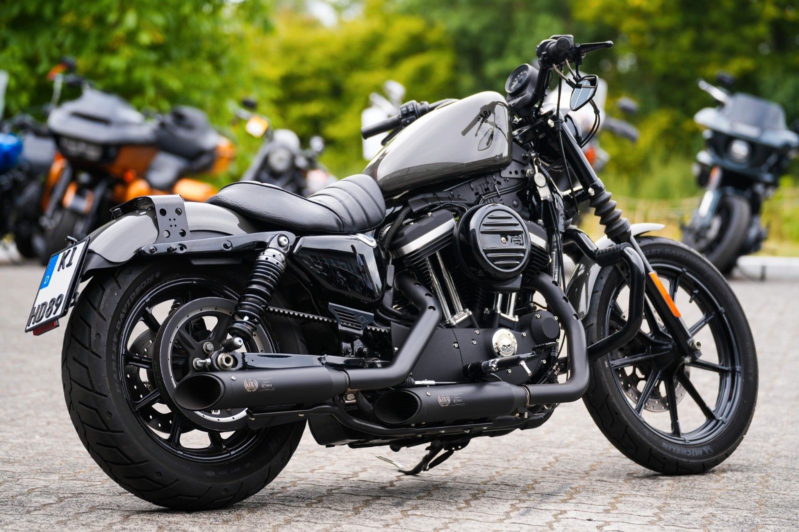 Fahrzeugabbildung Harley-Davidson XL883N Sportster Iron 883 - Kern