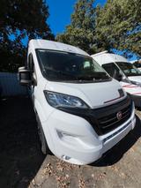 Roller Team Livingstone Sport DUO   Showroom Abverkauf - Offers