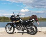 Honda Domi NX 650 news! - bildschönes wildes Mädchen - HONDA NX 650