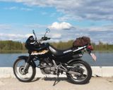 Honda Domi NX 650 news! - bildschönes wildes Mädchen - Offers matching your search criteria