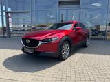 Mazda CX-30 2.5 (140PS) FWD Autom. Takumi Leder-S Allw - Mazda CX-30 Gebrauchtwagen in Frankfurt