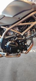 Suzuki SV 650 2025