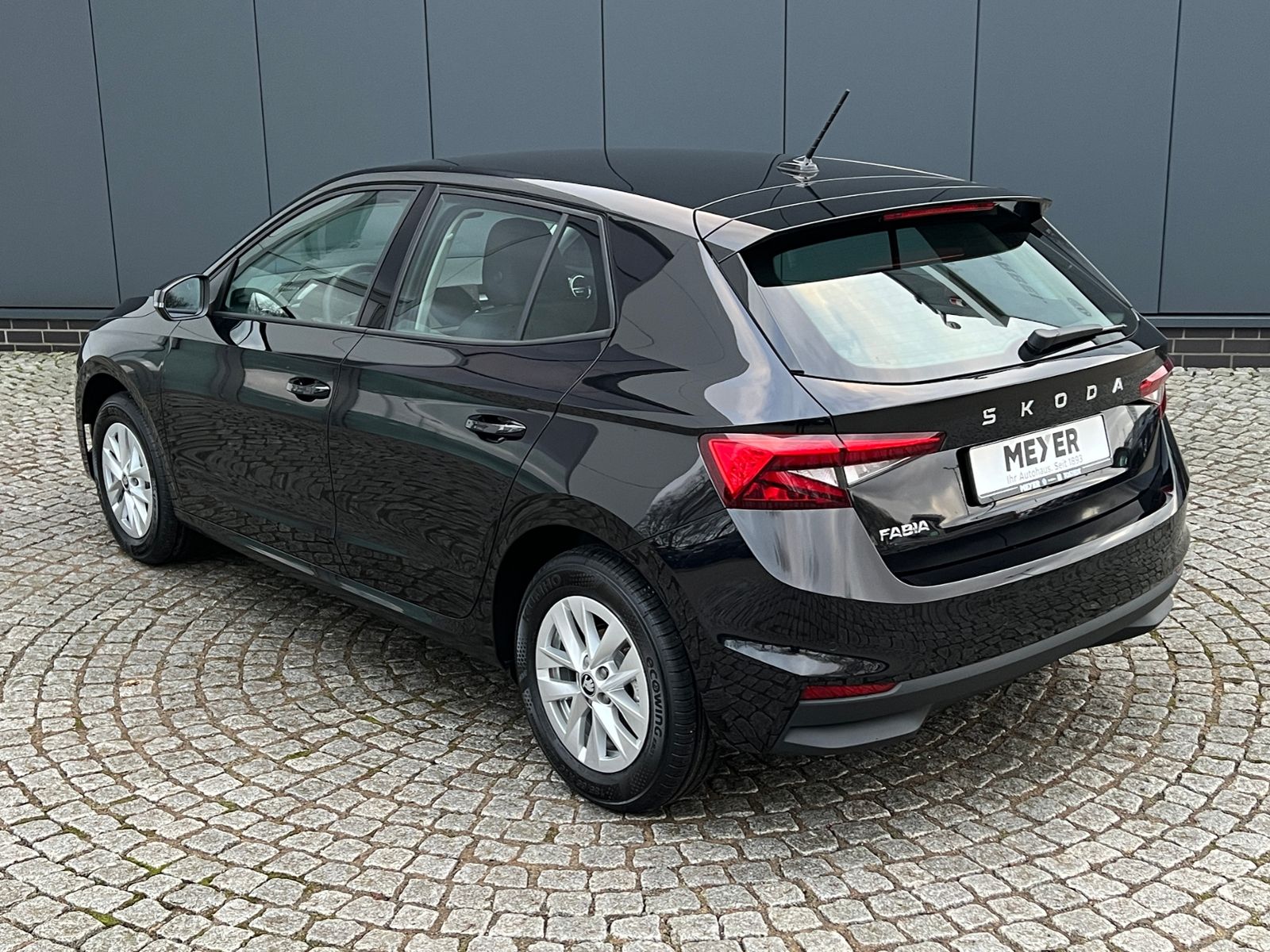 Fahrzeugabbildung SKODA Fabia Selection Edition 130 1.0 TSI DSG *Garanti